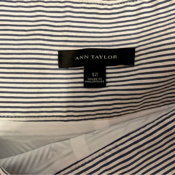 Ann Taylor Blue and White Striped Mini Skirt A line Size 12 - Picture 4 of 5